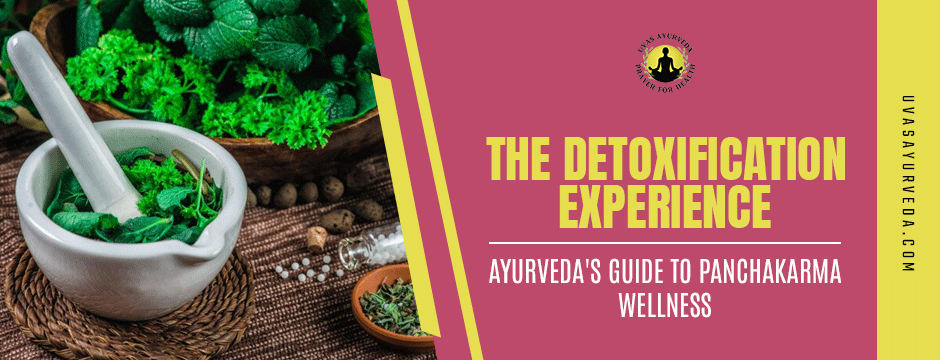 The Detoxification Experience: Ayurveda's Guide to Panchakarma Wellness